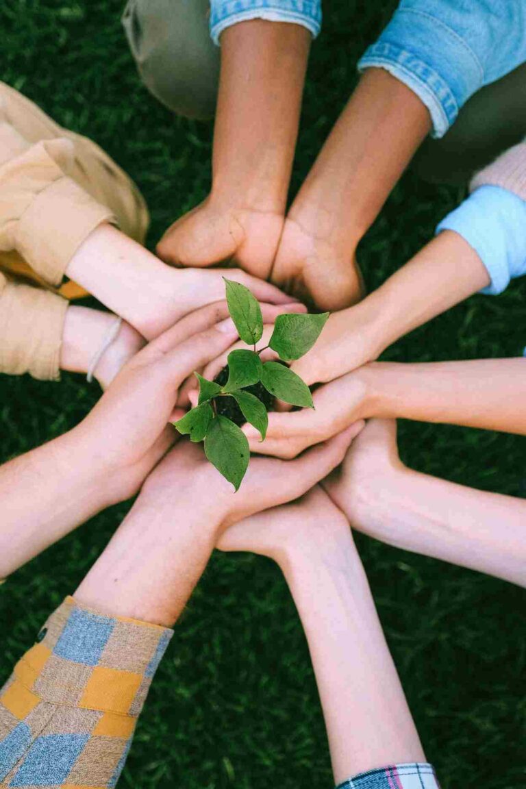 Hands of diverse people holding a young plant symbolizing unity, charity, and environmental care